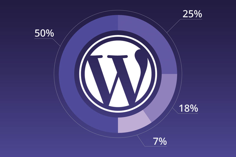 Wordpress Veiligheid - Deze 5 statistieken gaan je zeker verbazen!